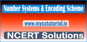 Number System & Encoding Scheme NCERT Exercise Solution