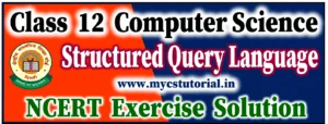 Class 12 Computer Science Structured Query Langugae NCERT Exercise solution