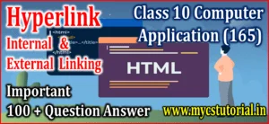 Hyperlink - Internal and External Linking in HTML Question Answer