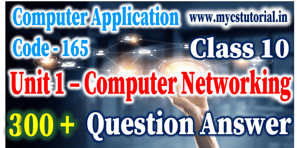 Class 10 Computer Application 165 Unit 1 Computer Networking Question Answer