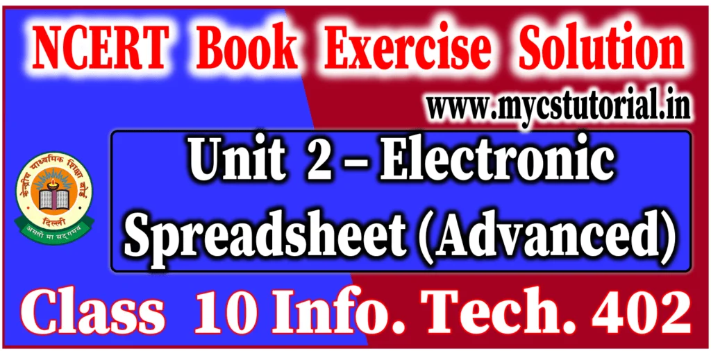 unit 2 electronic spreadsheet advanced ncert book exercise solution