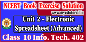 unit 2 electronic spreadsheet advanced ncert book exercise solution