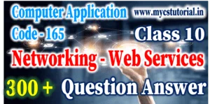 unit 1 networking web services question answers
