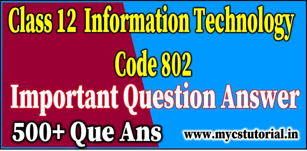 class 12 information technology code 802 question answer