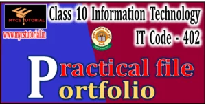 Class 10 IT 402 Practical File